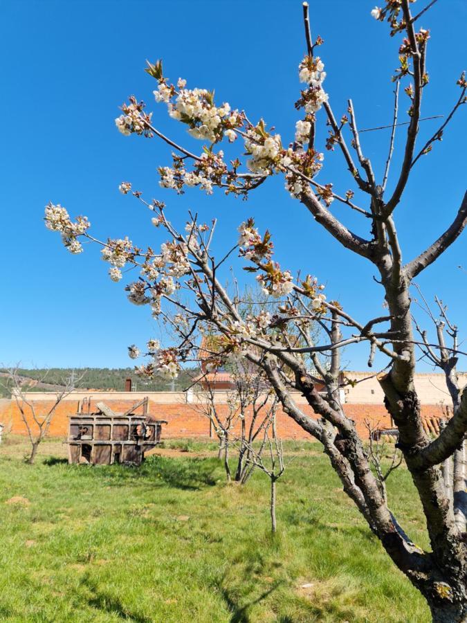 Casa Rural Las Aguedas Pensionat Murias de Rechivaldo Exteriör bild